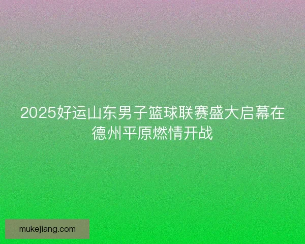 2025好运山东男子篮球联赛盛大启幕在德州平原燃情开战