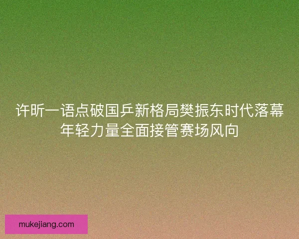 许昕一语点破国乒新格局樊振东时代落幕年轻力量全面接管赛场风向 许昕一语点破国乒新格局樊振东时代落幕年轻力量全面接管赛场风向