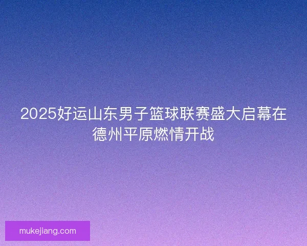 2025好运山东男子篮球联赛盛大启幕在德州平原燃情开战